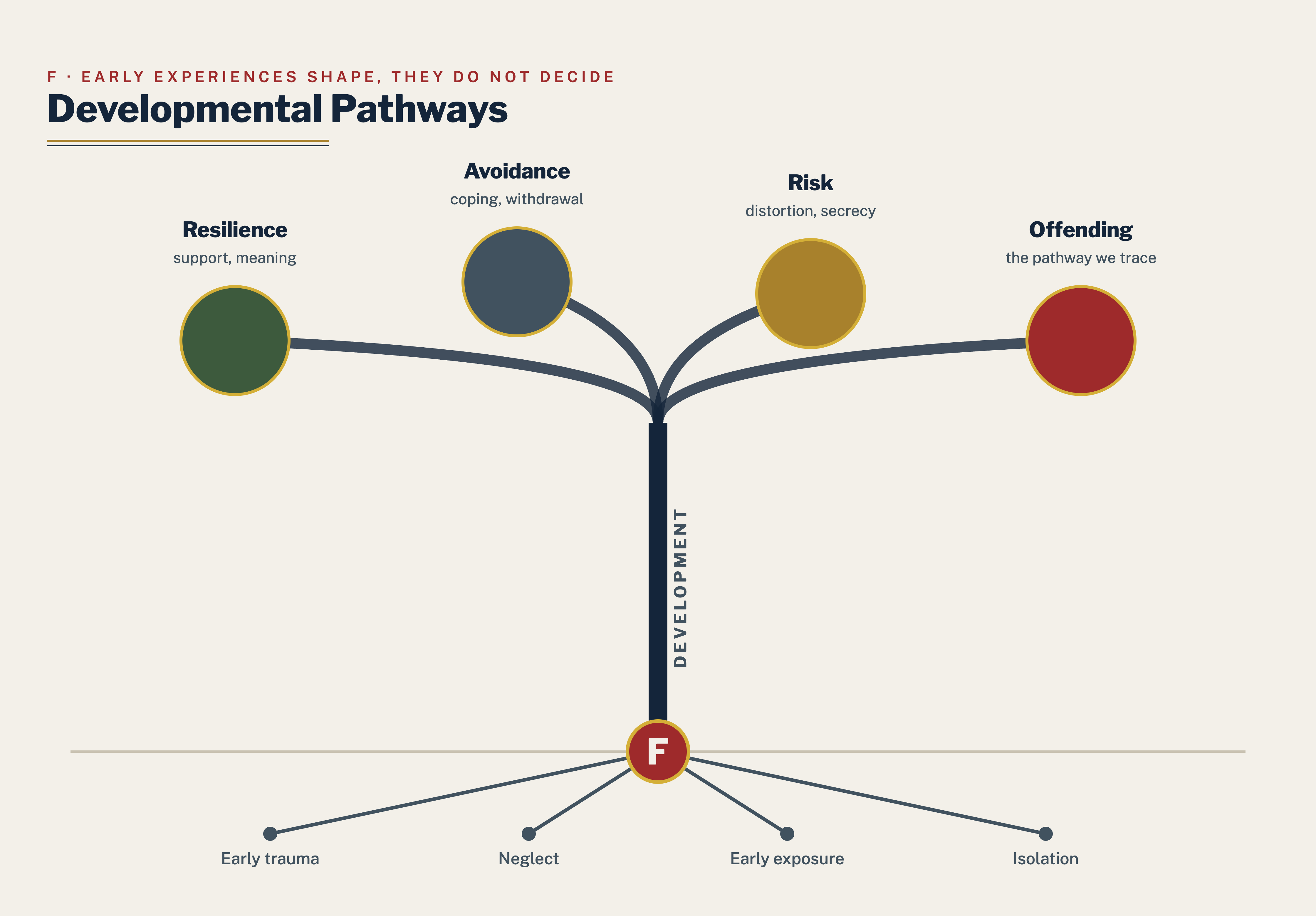 Developmental pathways tree: one root branching to many outcomes.